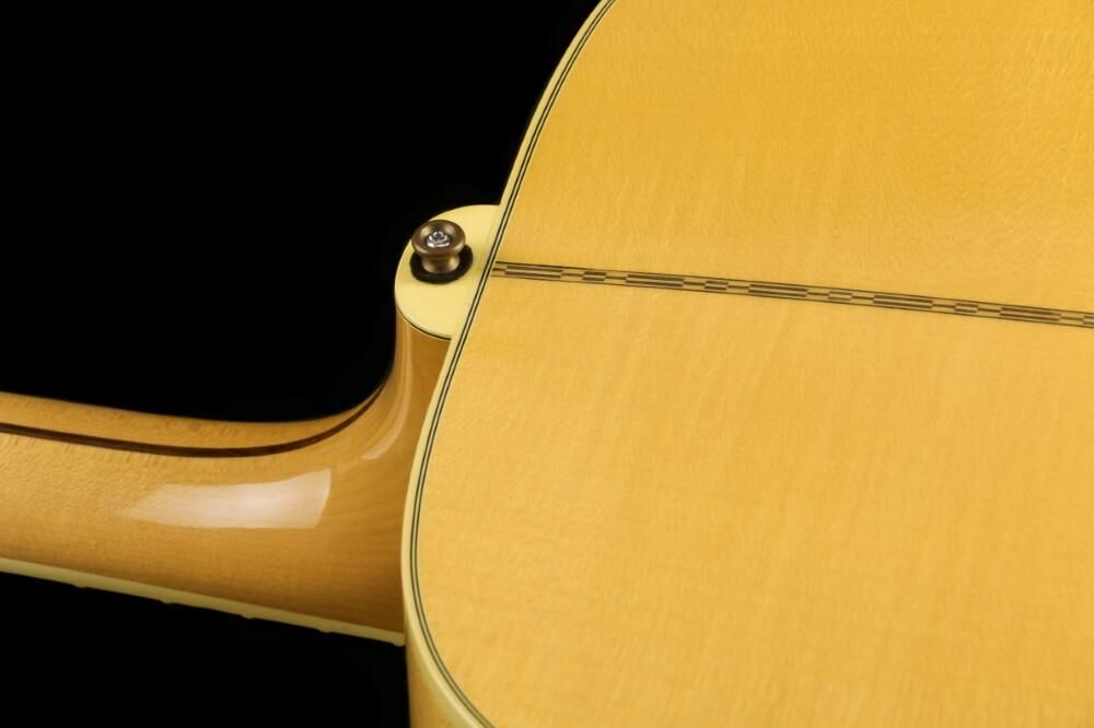 Gibson J-200 (#401)